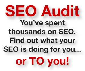 SEO Audit - find out what your SEO is up to