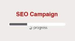SEO Campaign Progress