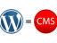 WordPress as a CMS - Do It Yourself or Hire a Professional
