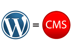 WordPress as a CMS - Do It Yourself or Hire a Professional