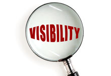 Search Engine Visibility Packages