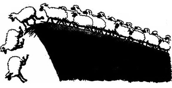 movie about sheep dog running sheep off clif movie about sheep dog running sheep off clif