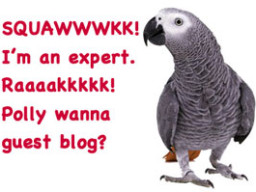 seo expert parrot