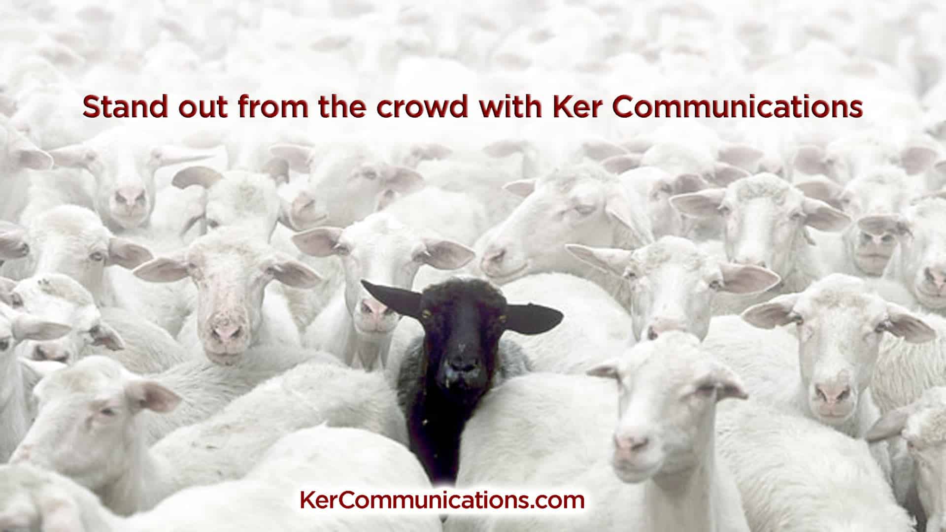 Stand out from the crowd with the best SEO, Ker Communications