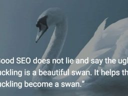 SEO helps ugly ducklings become beautiful swans.