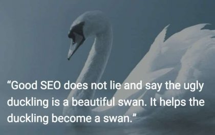 SEO helps ugly ducklings become beautiful swans.